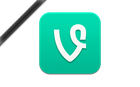 vine-logo-(1)-736x460.png